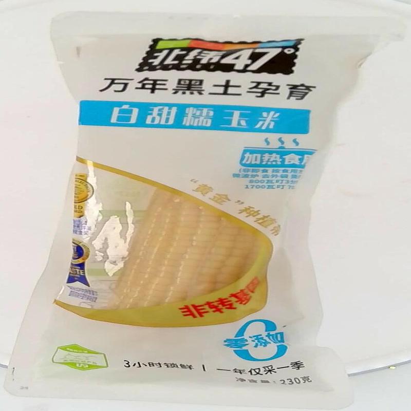 北纬47°白甜糯玉米