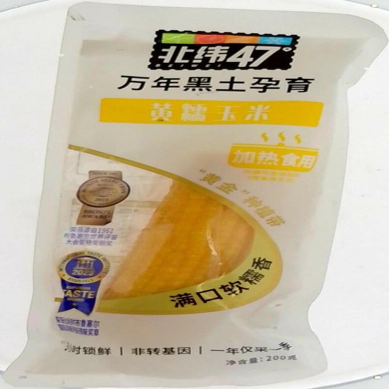北纬47°黄糯玉米