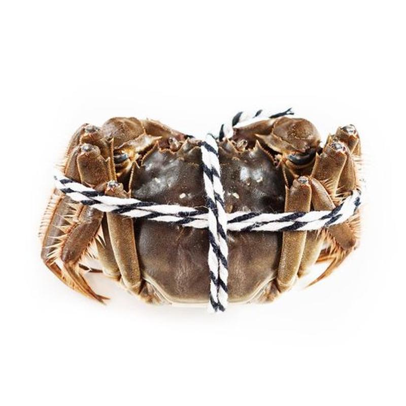 大闸蟹（母）2.5两