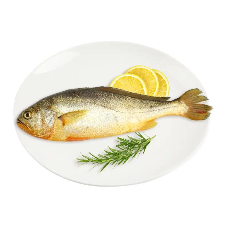 散称冰鲜黄鱼500g(±50g）
