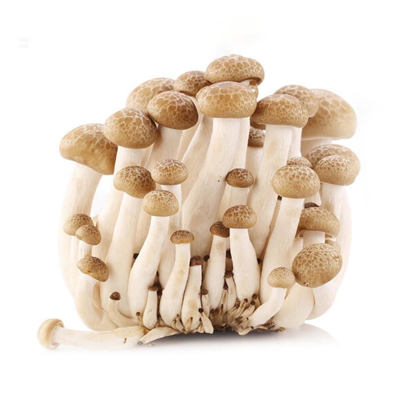 蟹味菇200克（±10克）