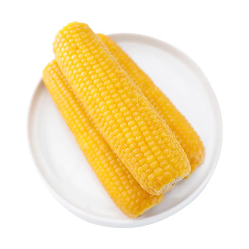 双鸭山黄金玉米