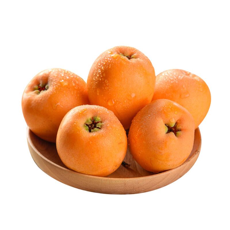 枇杷500g（±50克）