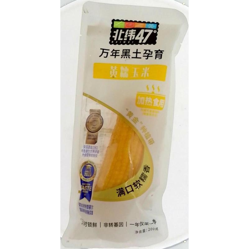 北纬47°黄糯玉米