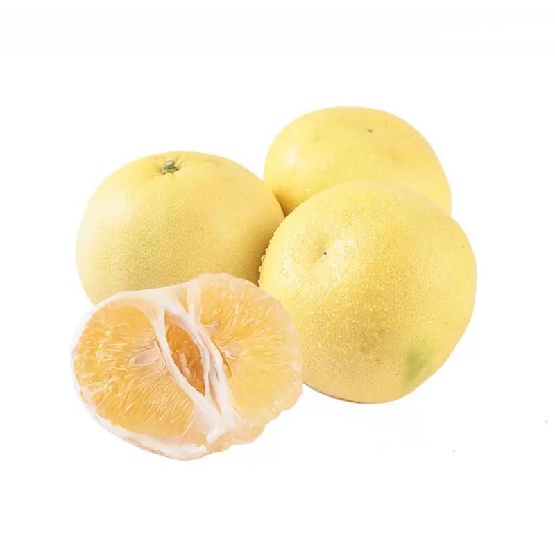 葡萄柚500g(±50g)