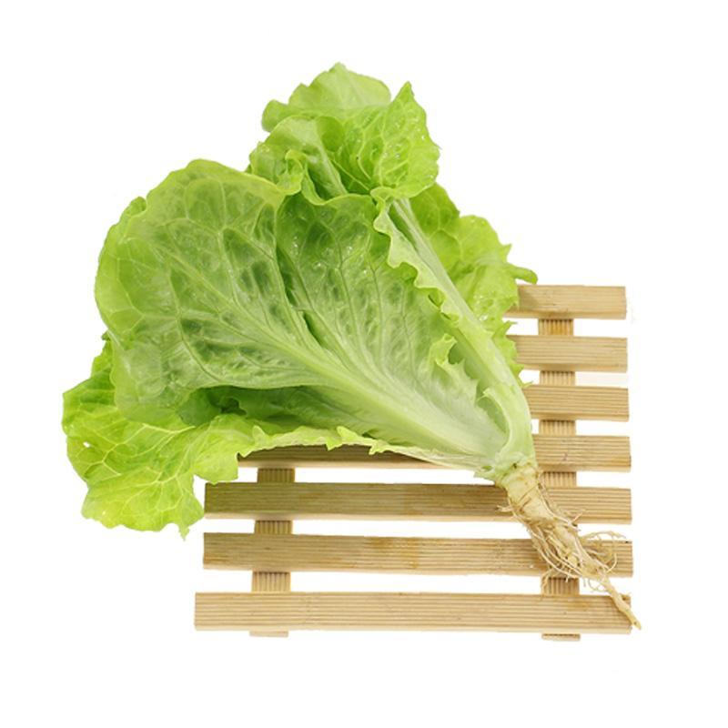 生菜500克（±50克）