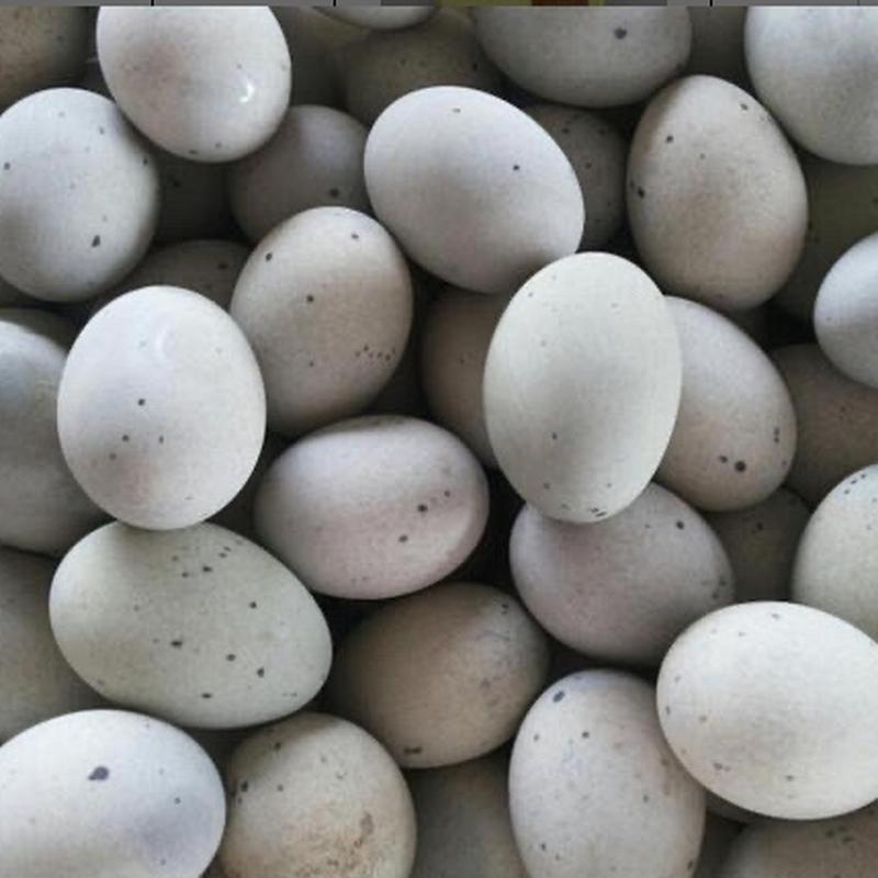 皮蛋500g（±50g）