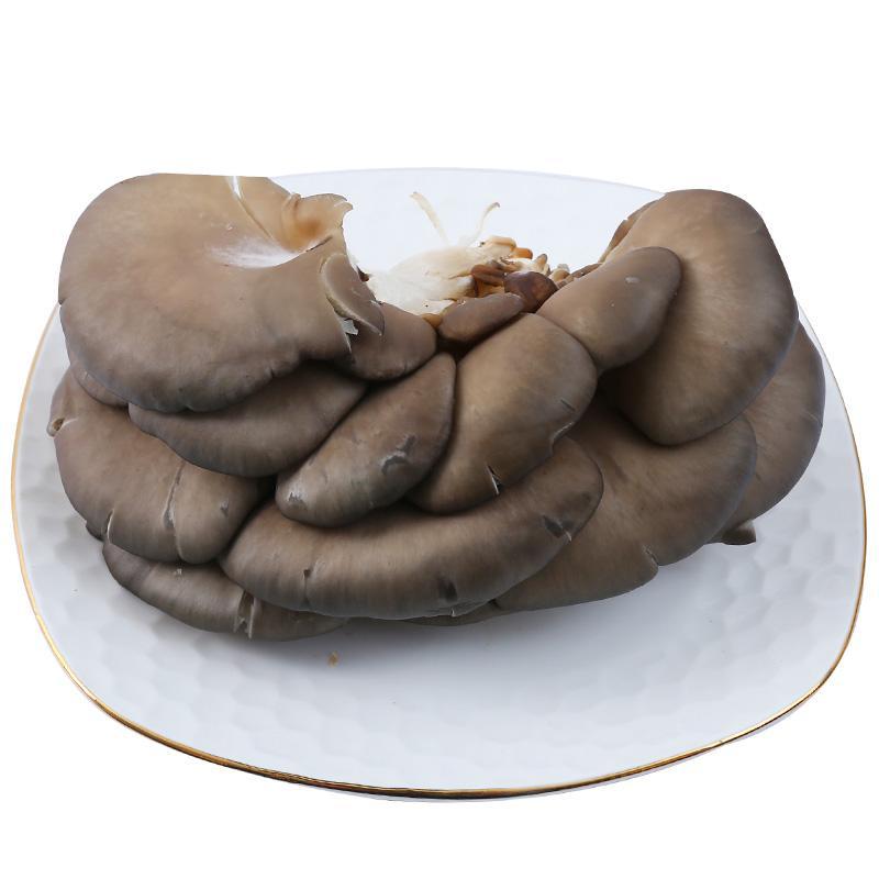 平菇200克（±10克）