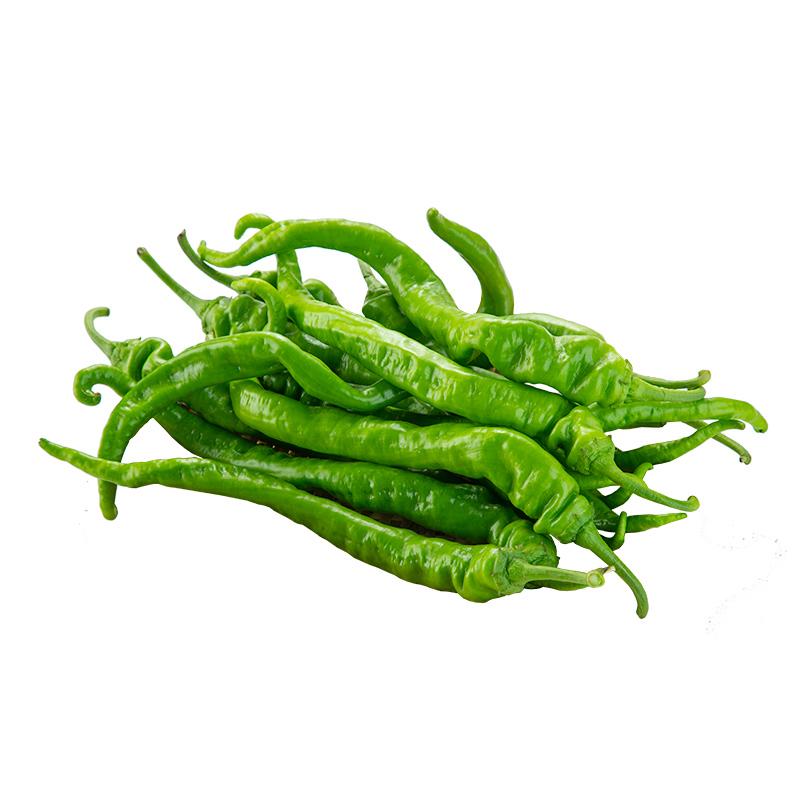 螺丝丝椒500G(土50克)