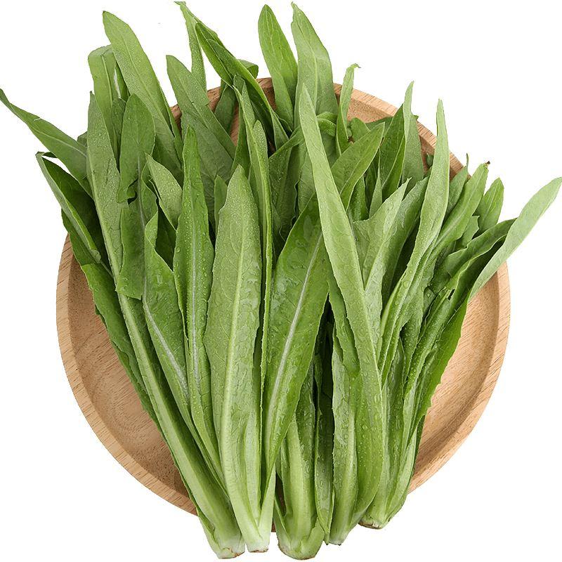 油麦菜500g(±50g）