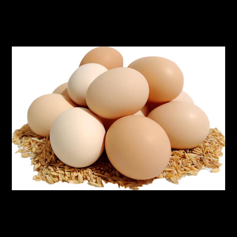 毛先生土鸡蛋10枚