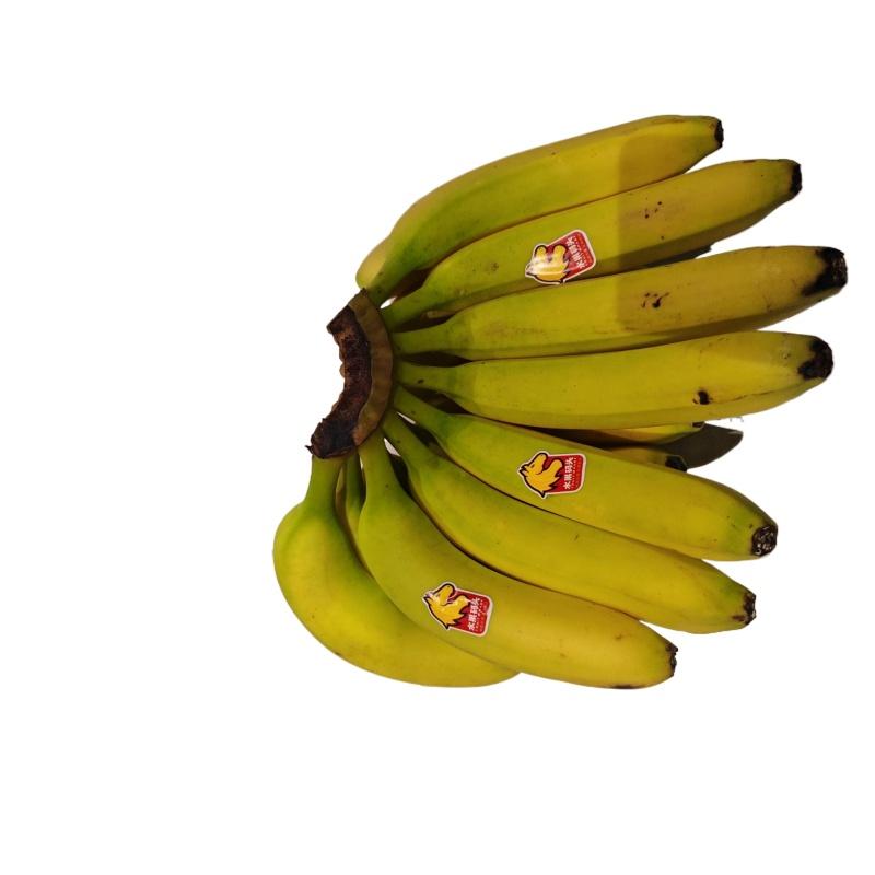 进囗香蕉500g（±50g）
