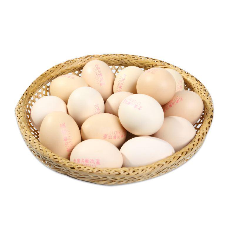 白毛乌骨鸡蛋15枚