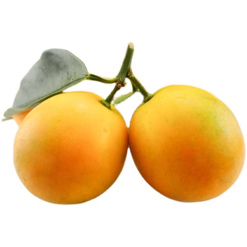 脆蜜金桔500g（±50克）