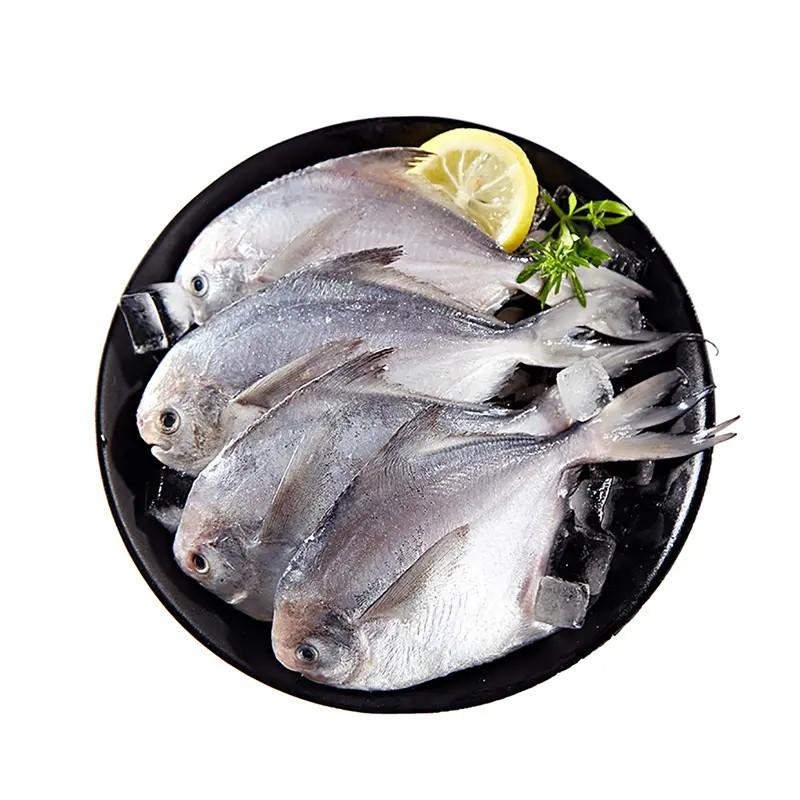 小鲳鱼500g(±50g)
